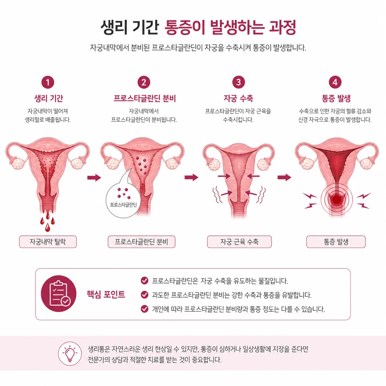 프로스타글란딘에 의한 자궁 수축으로 생리통이 발생하는 원리