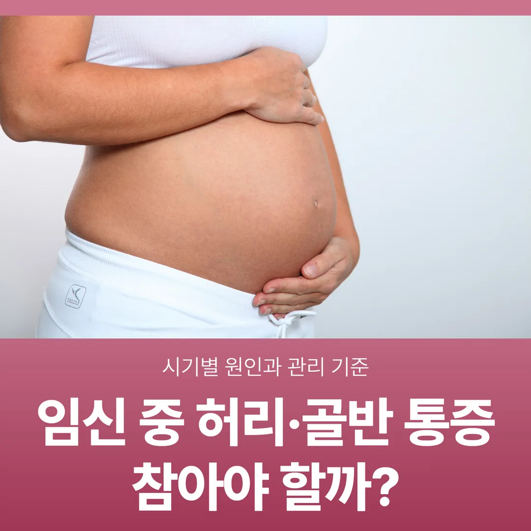 임신 중 허리·골반 통증, 참아야 할까 — 시기별 원인과 관리 기준