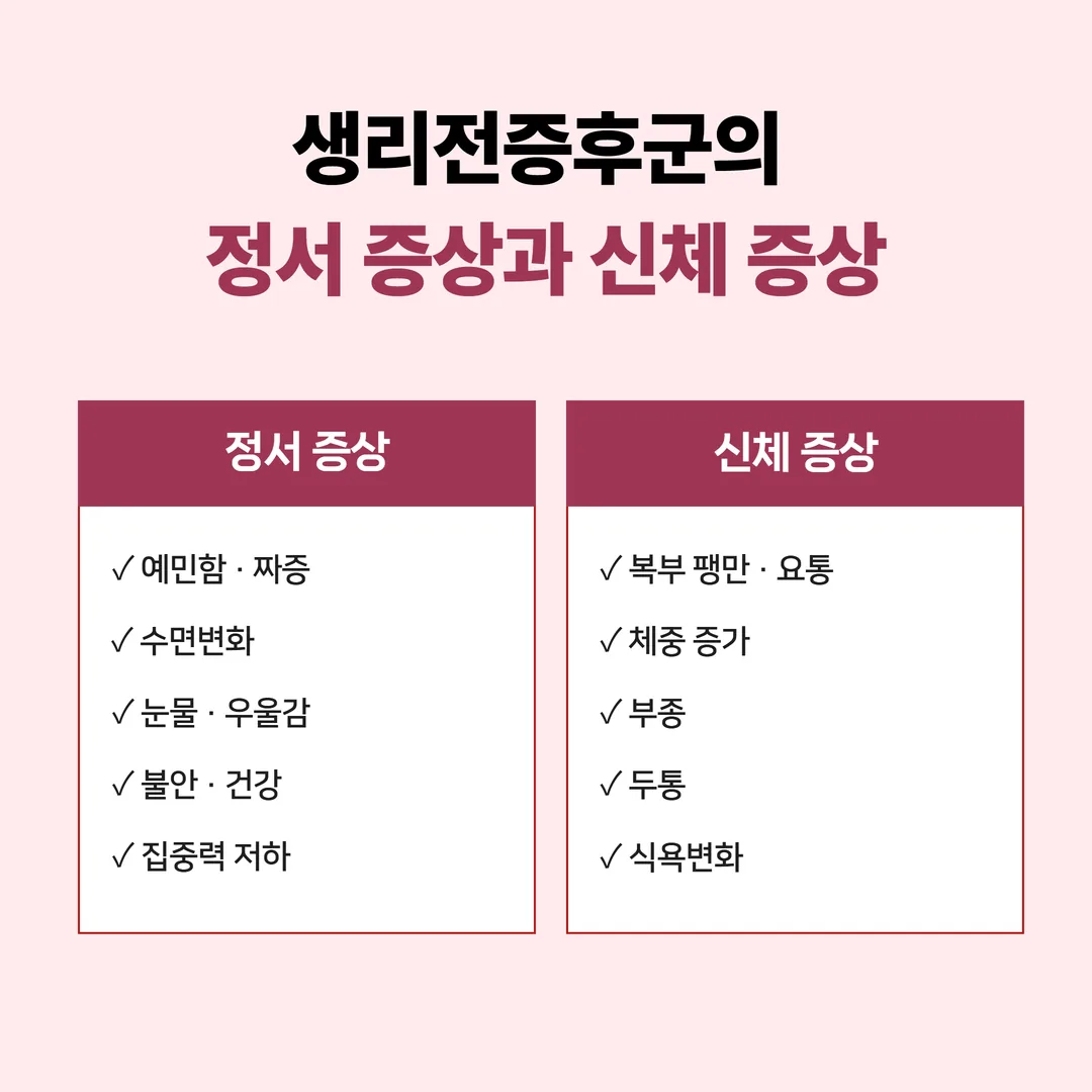 생리전증후군의 정서 증상과 신체 증상을 두 갈래로 나눈 증상 분류표