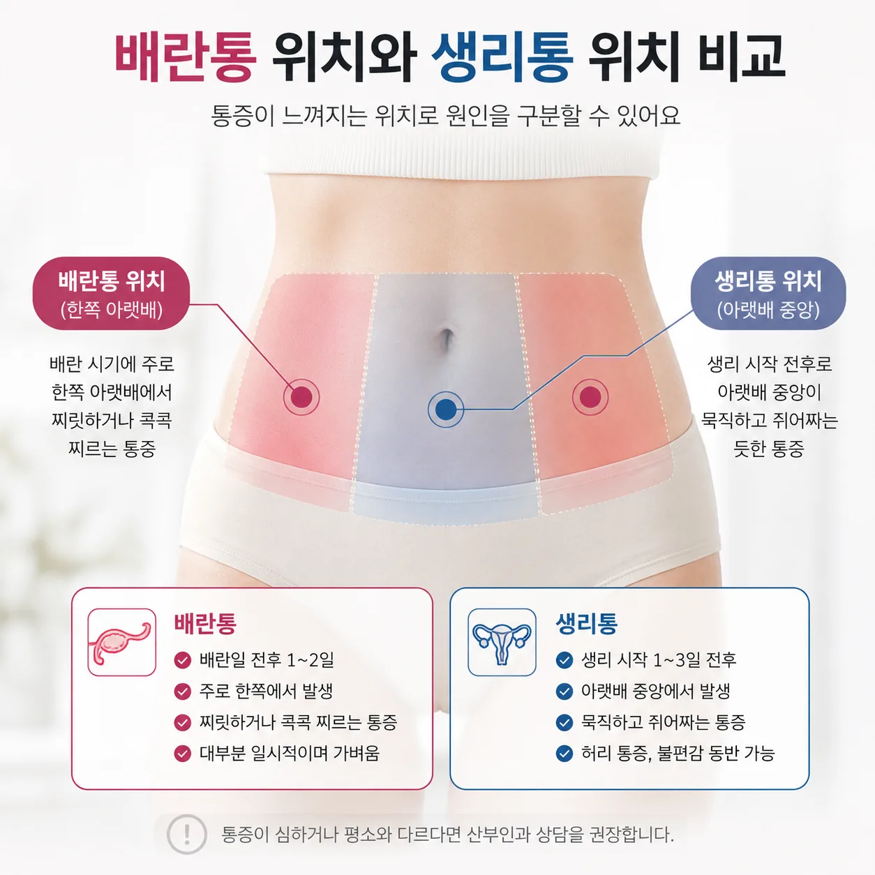 배란통 위치와 생리통 위치를 비교한 그림