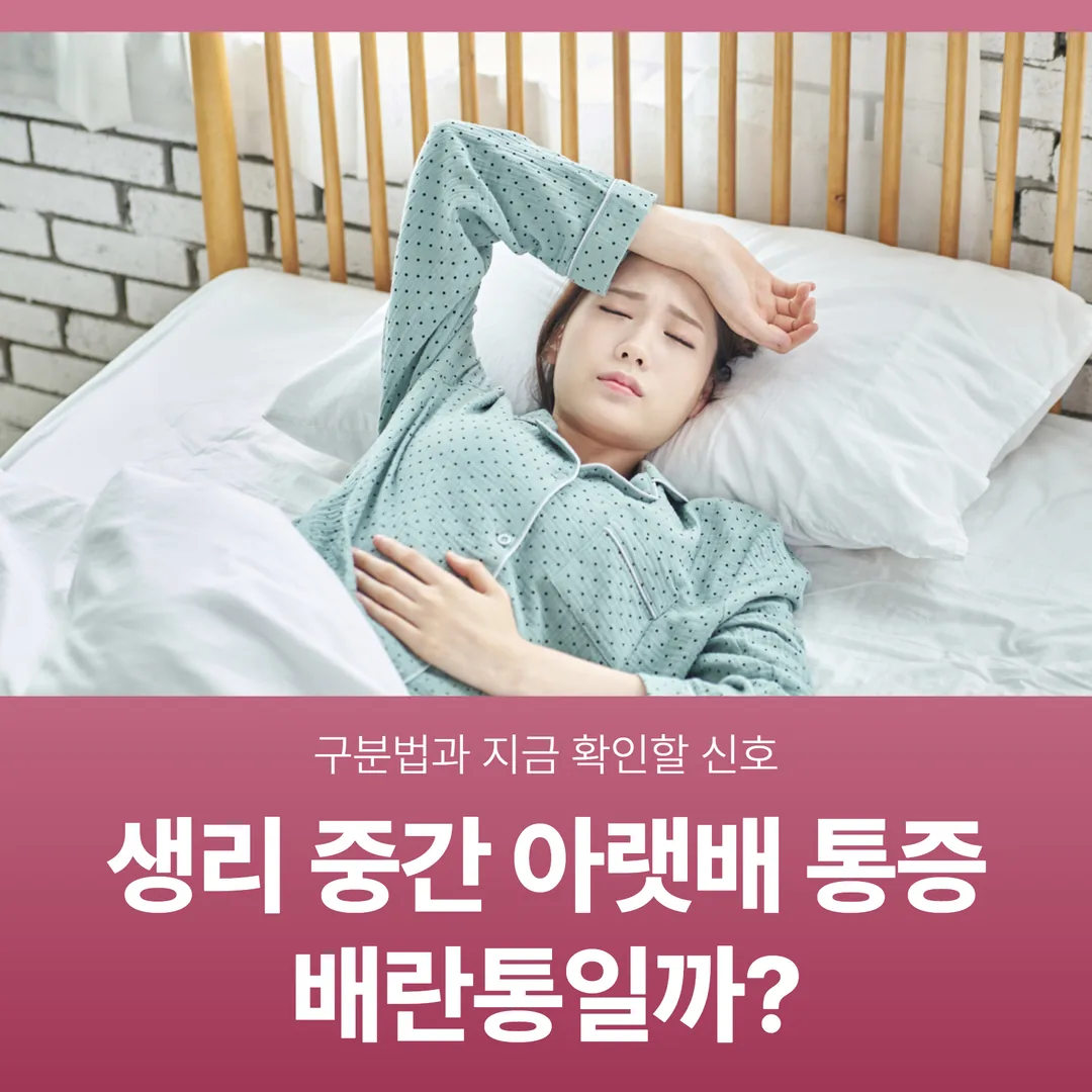 생리 중간 아랫배 통증, 배란통일까 — 구분법과 지금 확인할 신호