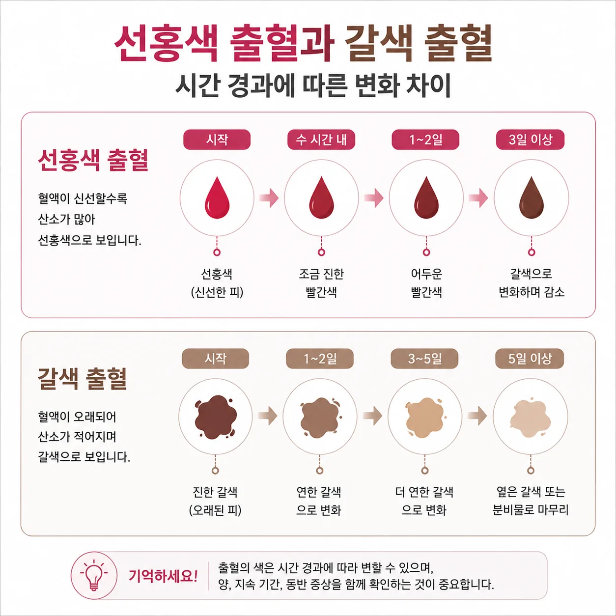 선홍색 출혈과 갈색 출혈의 시간 경과 차이 도식