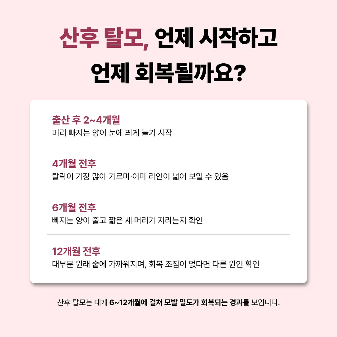 임신과 출산 전후 모발 성장 주기 변화 그림