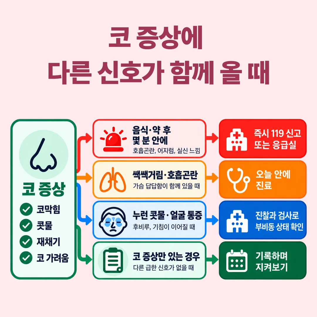 코 증상에 함께 오는 신호별로 확인 시점이 갈리는 분기도