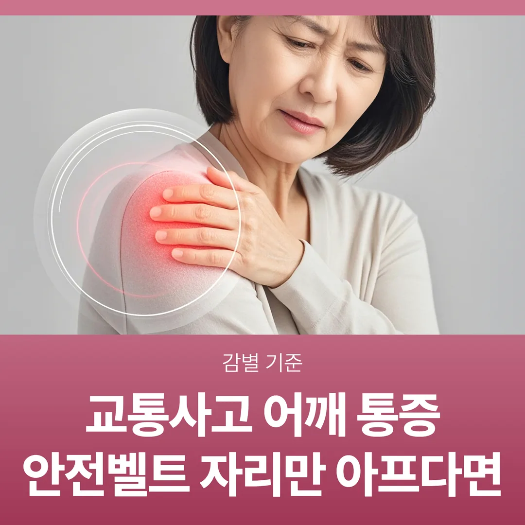 교통사고 어깨 통증, 안전벨트 자리만 아프다면 — 감별 기준