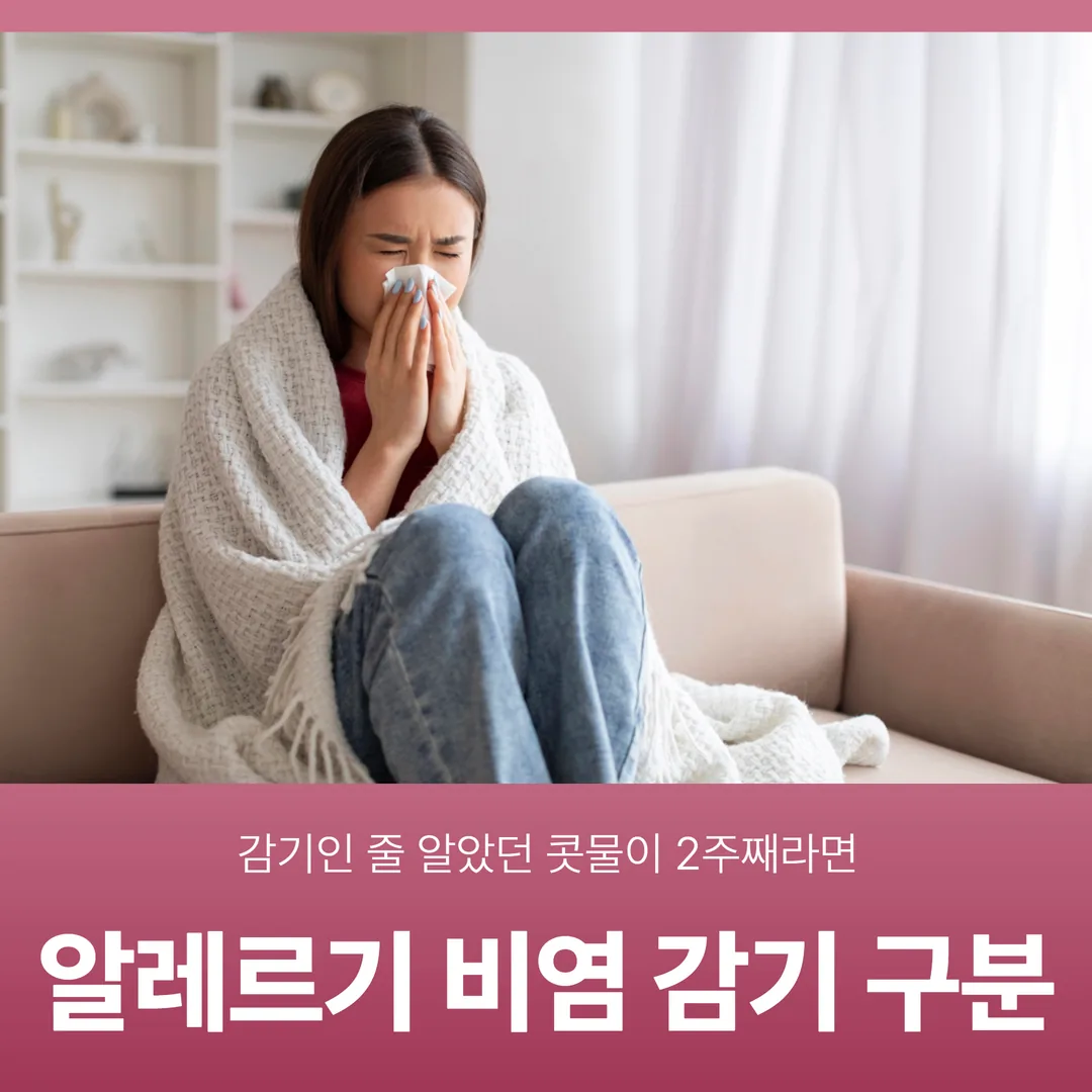 알레르기 비염 감기 구분, 감기인 줄 알았던 콧물이 2주째라면